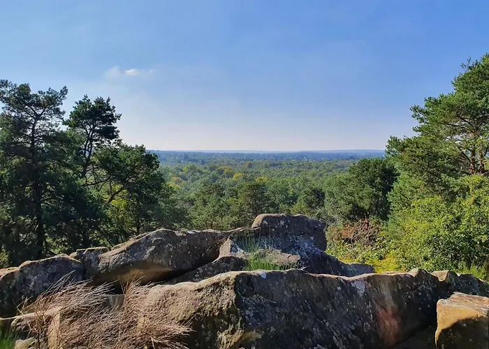 Le Bon\'Aparte - Hypercentre de Fontainebleau